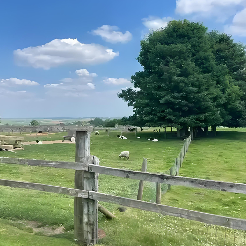 Farming Theft Prevention
