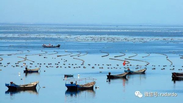Empowering Aquaculture with Technology: Application Cases and Benefit Analysis of Intelligent Management and Control